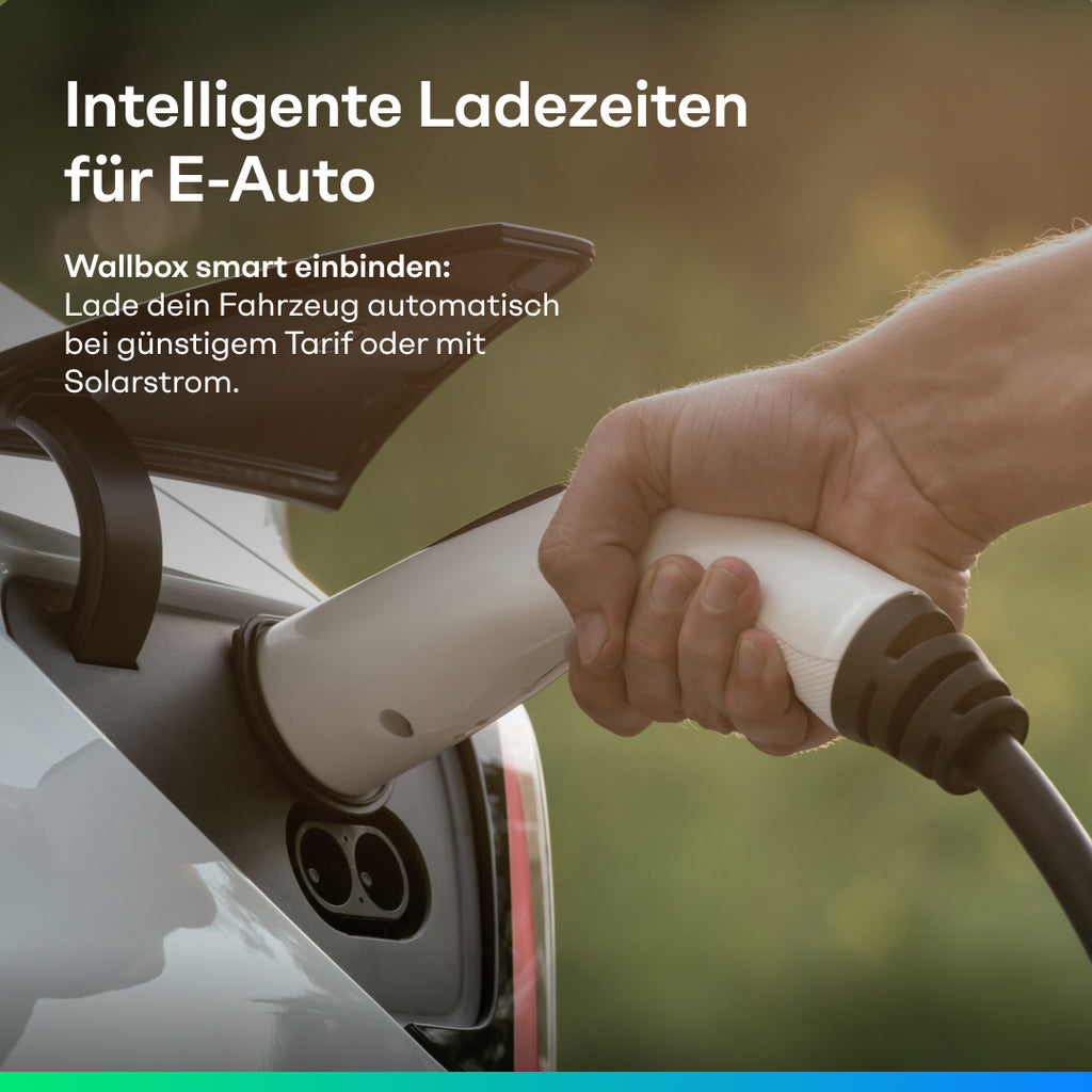 Sunpura S2400(2,4 kWh)